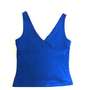 Express Blouse Royal Blue V Neck